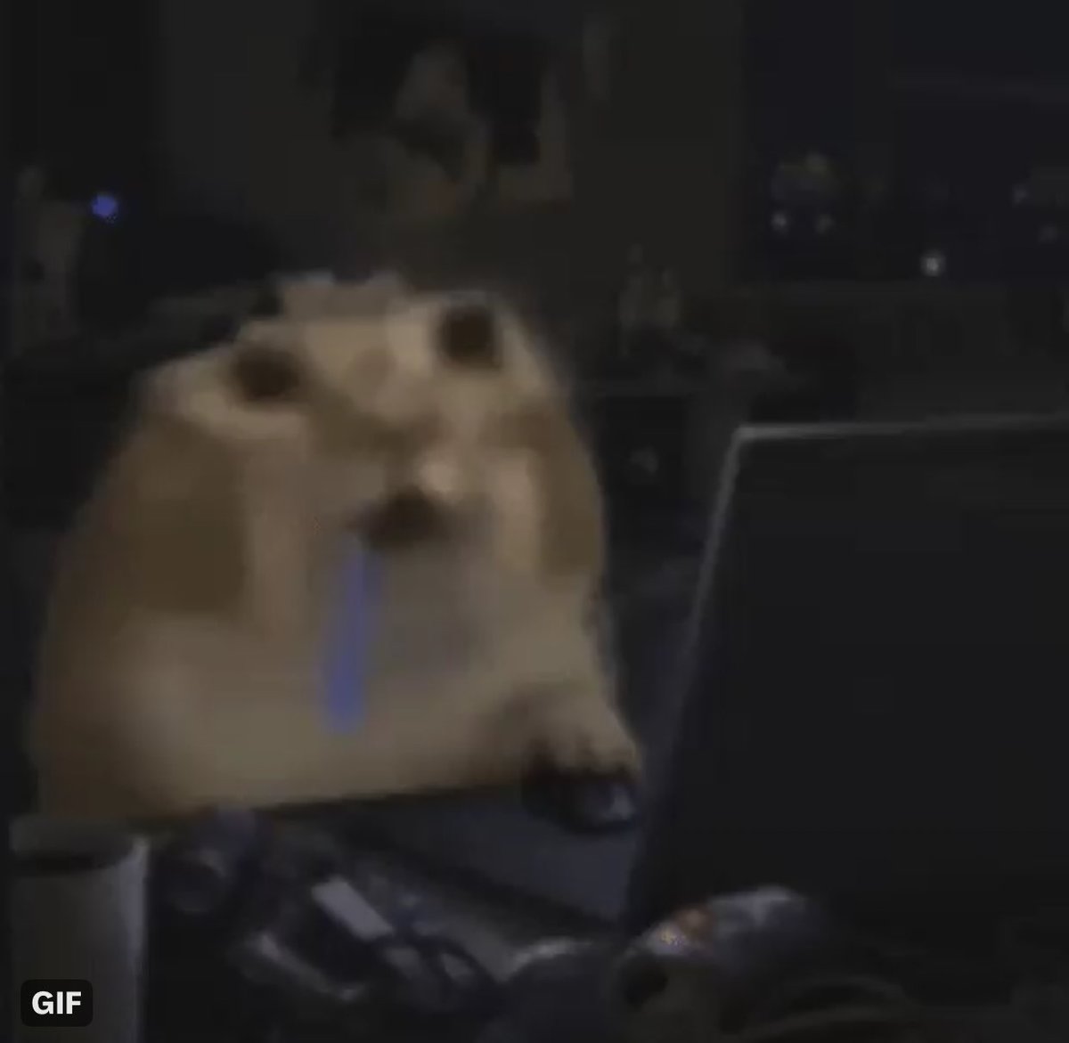 LordJiz tweet picture