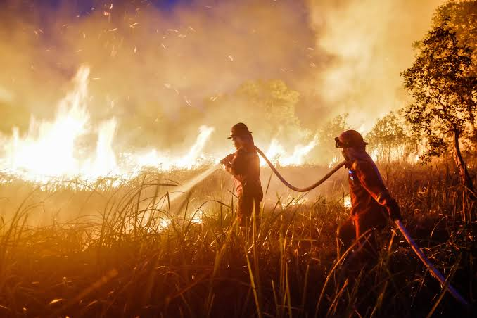LambeSahamjja's tweet photo. gubernur kalteng agustiar sabran bilang karhutla di wilayahnya belum layak ditetapkan jadi bencana nasional

alasan utamanya: warga masih bisa beraktivitas

kutipannya: "belum perlu ditetapkan (status nasional) sekarang ini kan orang kerja pun masih jalan"

sejumlah profesi tertentu sangat merasakan dampak kemarau panjang tahun ini

tapi dia tidak sebut profesi apa saja