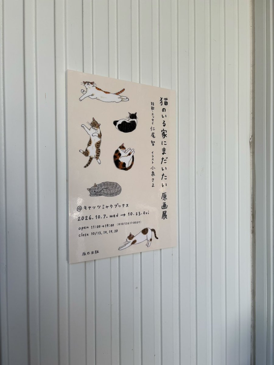 Symphony_K's tweet photo. ビールの前に猫
仁尾智センセイ＆小泉さよセンセイが奏でる、猫という宇宙との出会いの讃歌 https://t.co/CrXxDn1Hy4