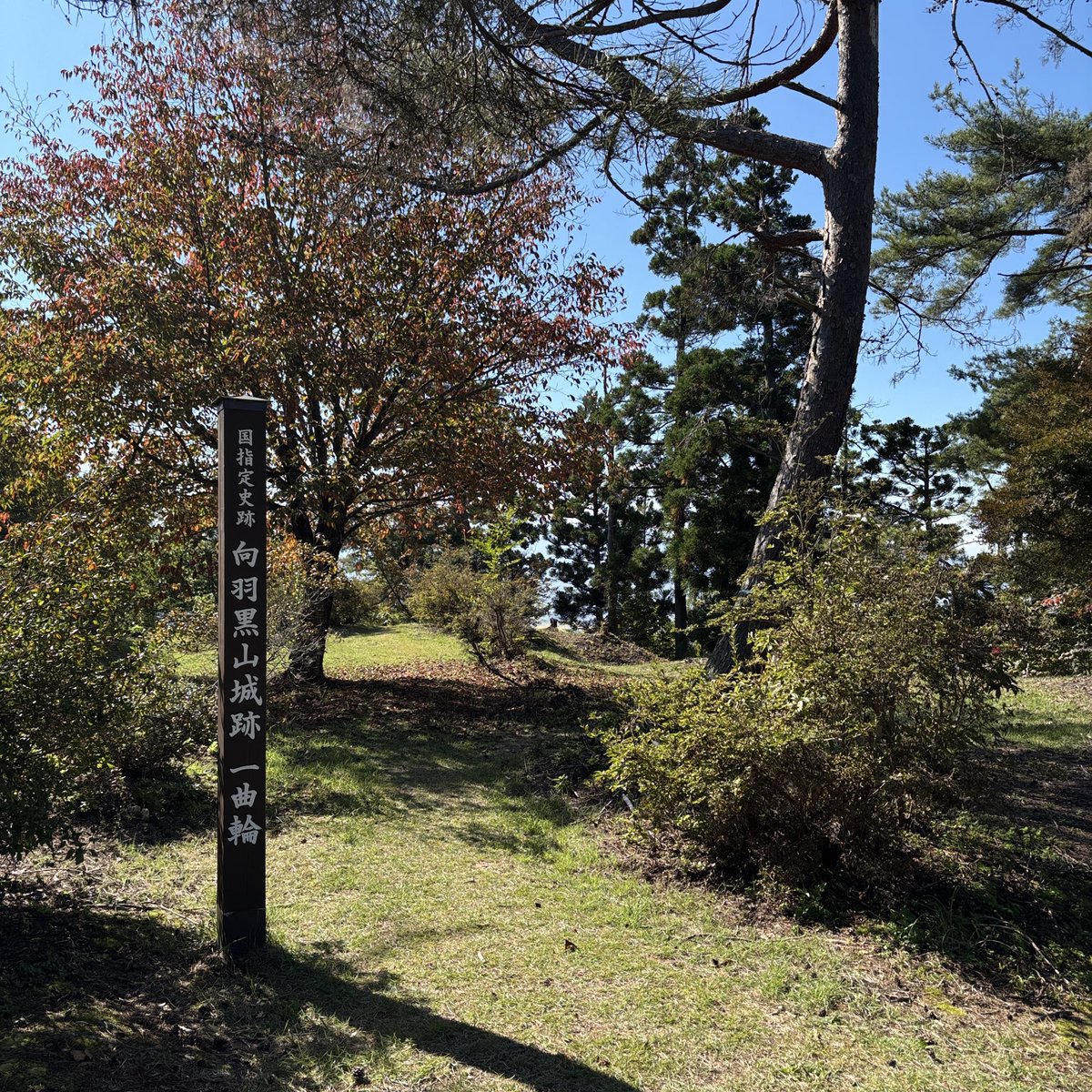 macchi_oops's tweet photo. 向羽黒山城跡、会津一望の山城跡
登山して汗だく、日差しが暑い
3連休でも空いてるのは良いね https://t.co/wZcJughqJQ