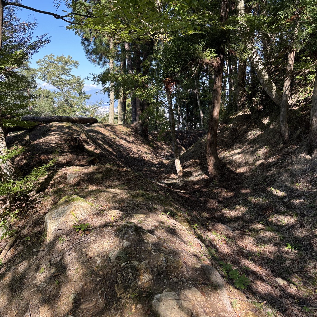 macchi_oops's tweet photo. 向羽黒山城跡、会津一望の山城跡
登山して汗だく、日差しが暑い
3連休でも空いてるのは良いね https://t.co/wZcJughqJQ