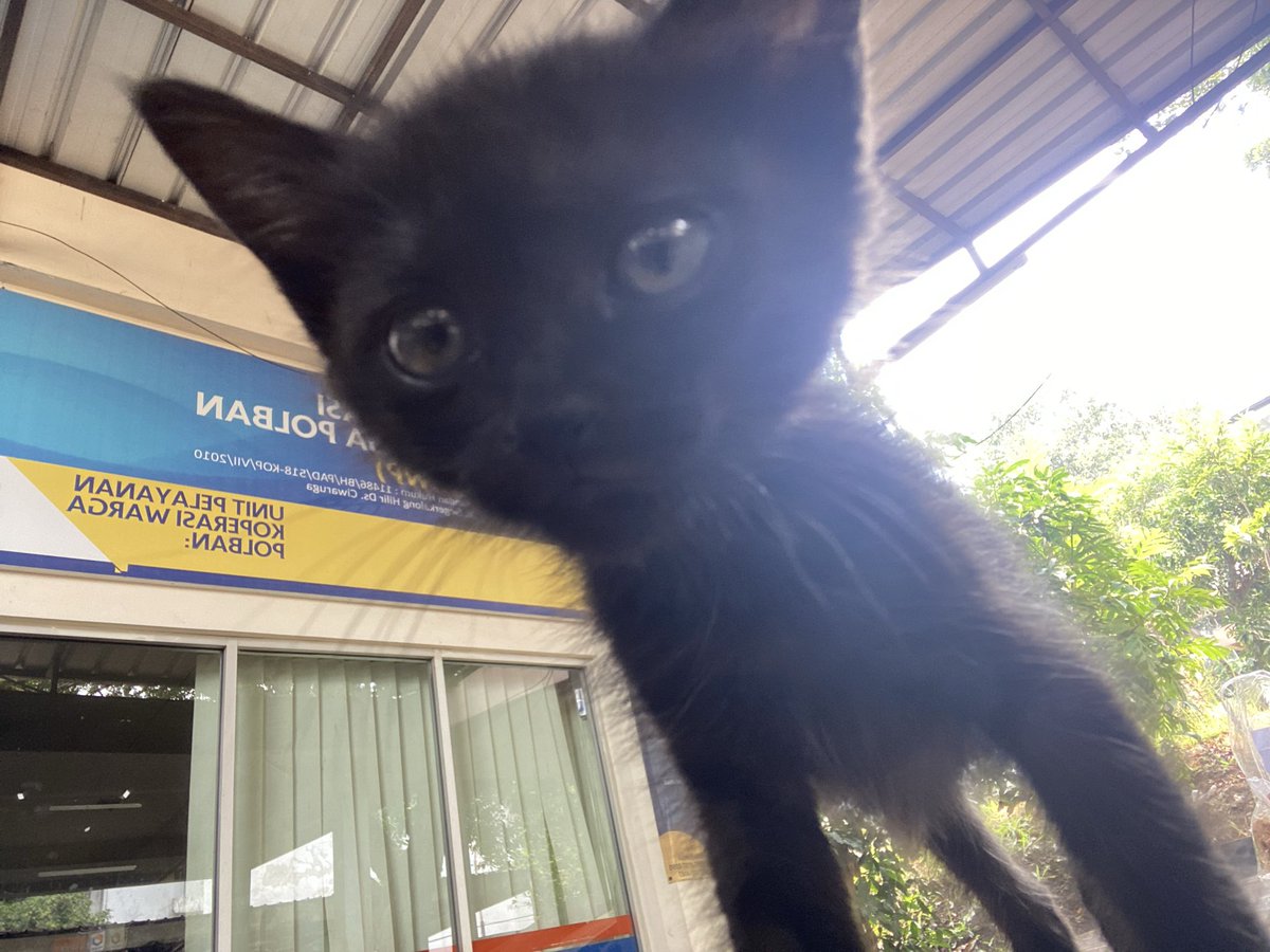 christroulette's tweet photo. hitam dan kecil https://t.co/4AaiM7Xr5L