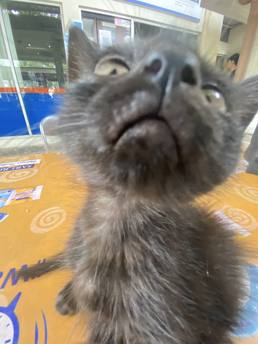 christroulette's tweet photo. hitam dan kecil https://t.co/4AaiM7Xr5L