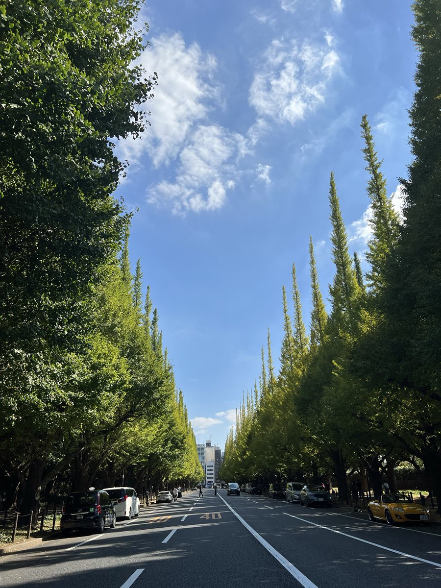 Jojozoey1's tweet photo. Everyone may have wonderful and #fruitful day ✨✨✨✨✨✨
#PeaceForTheWorld 
#Peaceful 
#BeHappy 
#PositiveVibes 
#chasedream 
#followyourheart 
#TruthMatters 
#Goodluckforyou🫰
#Autumn2026 
#外苑前 
#niceweather https://t.co/PQYBFEye6c