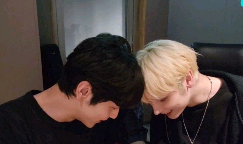 filedflies's tweet photo. I need another cuddly sookai live right now I’m rotting https://t.co/ORJKW6qxQJ