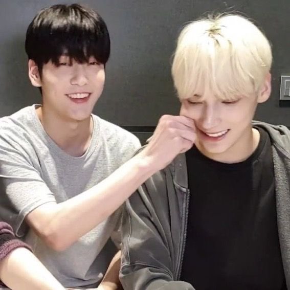 filedflies's tweet photo. I need another cuddly sookai live right now I’m rotting https://t.co/ORJKW6qxQJ