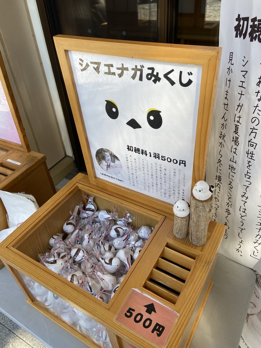 Sia___VRC's tweet photo. シマエナガ推しでした
凄く気持ちよくて居心地が良かったです😇
またお散歩しに来るのもアリですね https://t.co/umTviVuYhC
