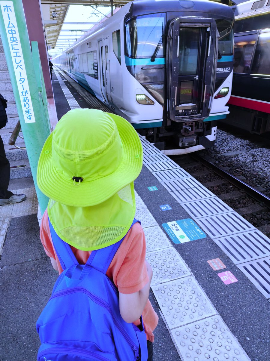 kiiro_8's tweet photo. 帰りは踊り子号。 https://t.co/YmGMjeGgiu