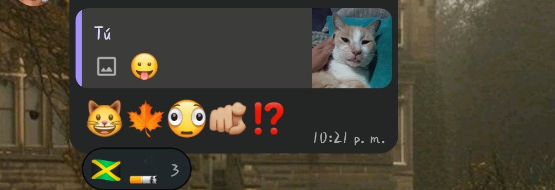 Wolferxtreme's tweet photo. Subí a mi gato a un chat de gatitos en silencio QUE SIGNIFICA ESTO https://t.co/JP1GCn6pOu