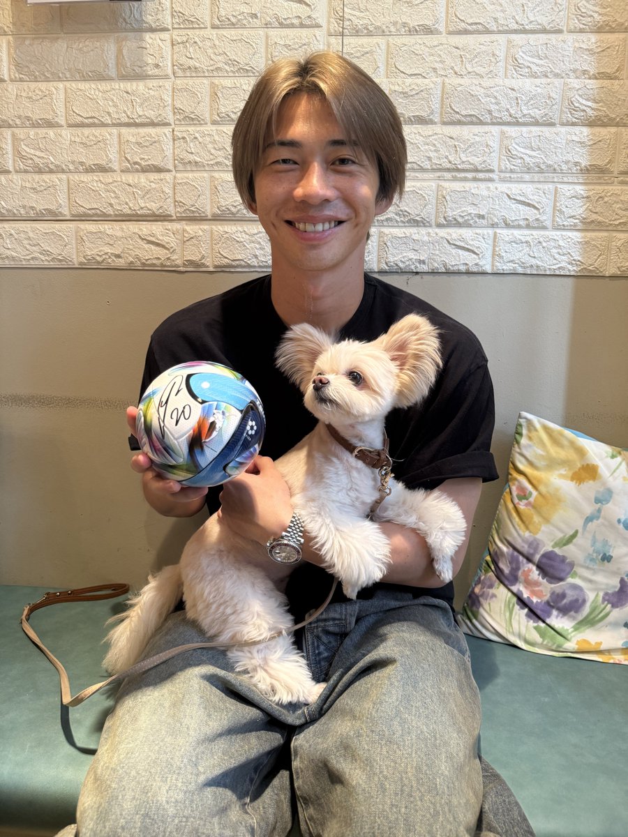 TBS_SuperSoccer's tweet photo. ／

今夜放送 #キクJ  👀❗️

＼

9️⃣月のJ1 #月間MVP に選出された🏆️
#柏 ☀️の絶対的ジョーカー🃏
#瀬川祐輔 選手が愛犬 #ベルちゃん を紹介🐶🐾
お見逃しなく👆️‼️

深夜0️⃣時5️⃣8️⃣分〜📺️

@REYSOL_Official
#キックオフ https://t.co/3hMXU0rSb0