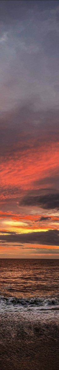petalesblancs's tweet photo. sunset https://t.co/5tbpxMorLF