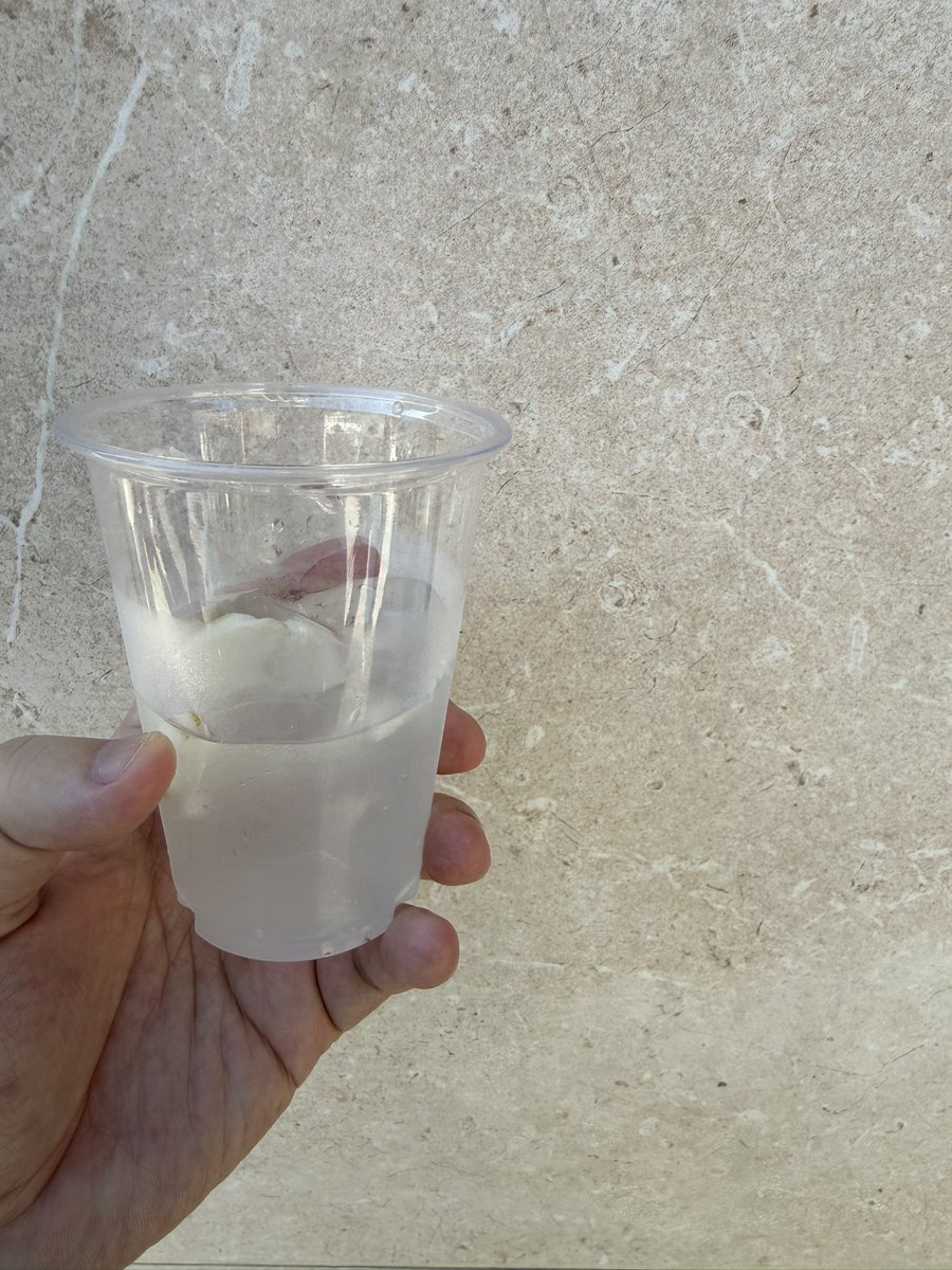 ZEL_Lab_project's tweet photo. ふらっと歩いたらやってました。
ちょーしこいて昼間からキメてます。

レモンサワーとハイボール https://t.co/0W7szjzsTe