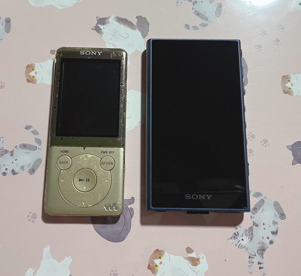 shin0mi's tweet photo. ウォークマン届いた！😆
左が10年くらい使ってる現役のウォークマンなんだけど、新しいやつゴツいw

仕舞ってるノートPC引っ張り出して音楽取り込まないとな〜 https://t.co/TrijyZdQsp