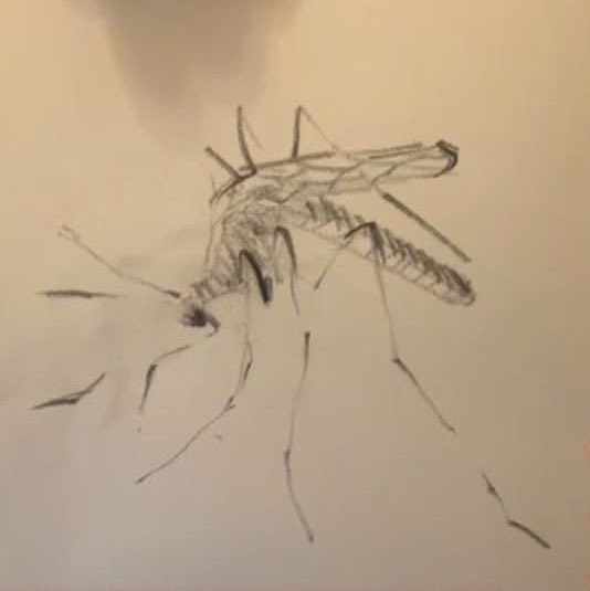 ninoononie_'s tweet photo. the artist                                                    the art(s) https://t.co/3jIDGyEk7P