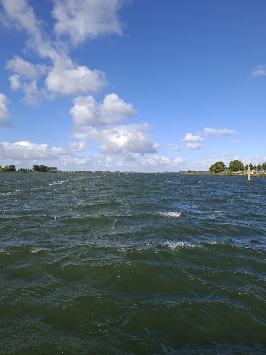 3littlebrdz's tweet photo. Het winterseizoen is van start. 17,2 graden en kopjes op de golven. #openwater #zwemmen https://t.co/XcfeSc5K9i