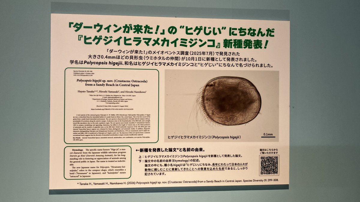 halo_kabe's tweet photo. ダーウィンに来たァ！！！！！ https://t.co/IEg9BCUCmX