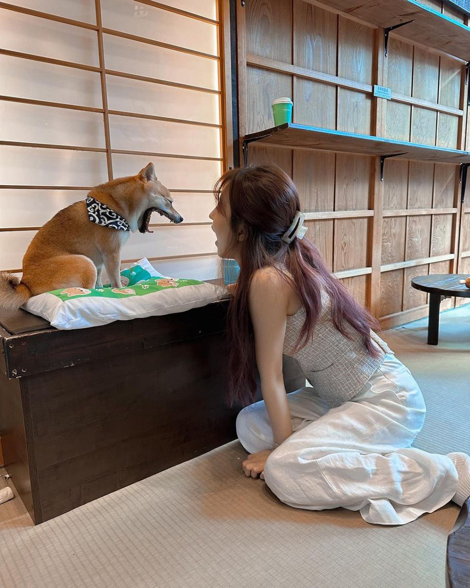 LalisaManobal88's tweet photo. Weekend relaxation 🐩 https://t.co/VPtDBHVaNr