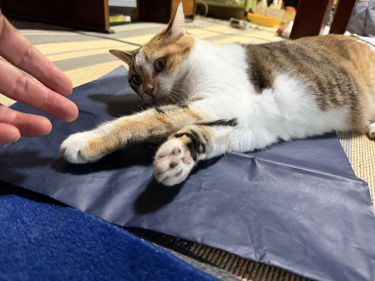 NojigikuGo's tweet photo. ガンギマった https://t.co/8xPomSr1ko