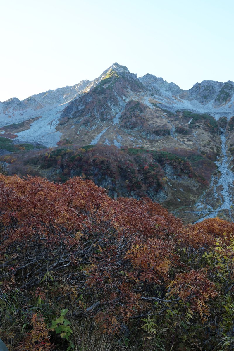 oiwa1300's tweet photo. そらちゃんに見せたいと思っていた紅葉スポットに行ってきました🍁
電波が繋がらない場所にいたせいでそらちゃんが体調崩してることを遅れて知ってすごく心配だけど、SNSとかもお休みしてでも早く元気になってほしい
もしこれが目に触れるようなら少しでも元気づけられたらいいな🥹 https://t.co/rd2p7Xhzn7