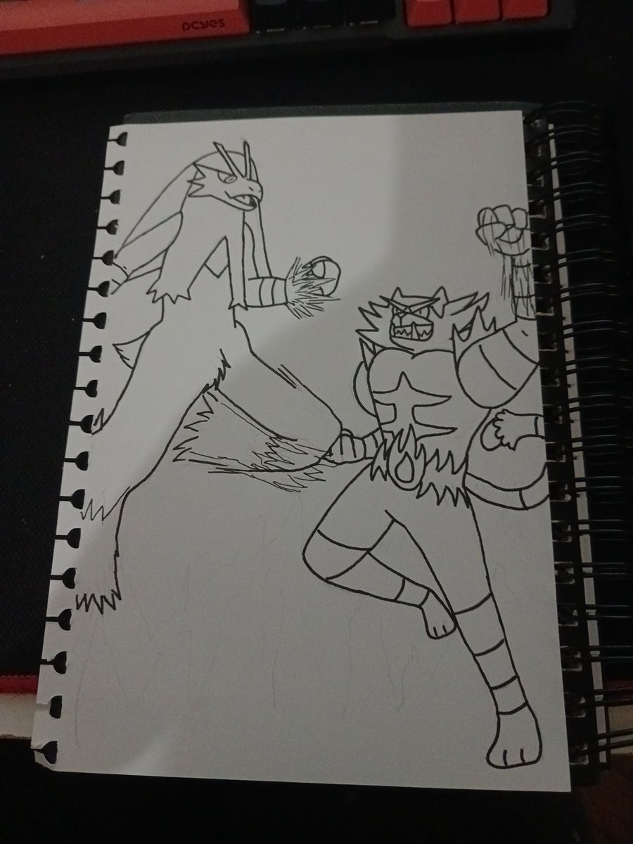 AcervyBlaziken's tweet photo. Eu e o @AcervoInceroar pq essa dupla combina dms https://t.co/BXEkuGiP9s