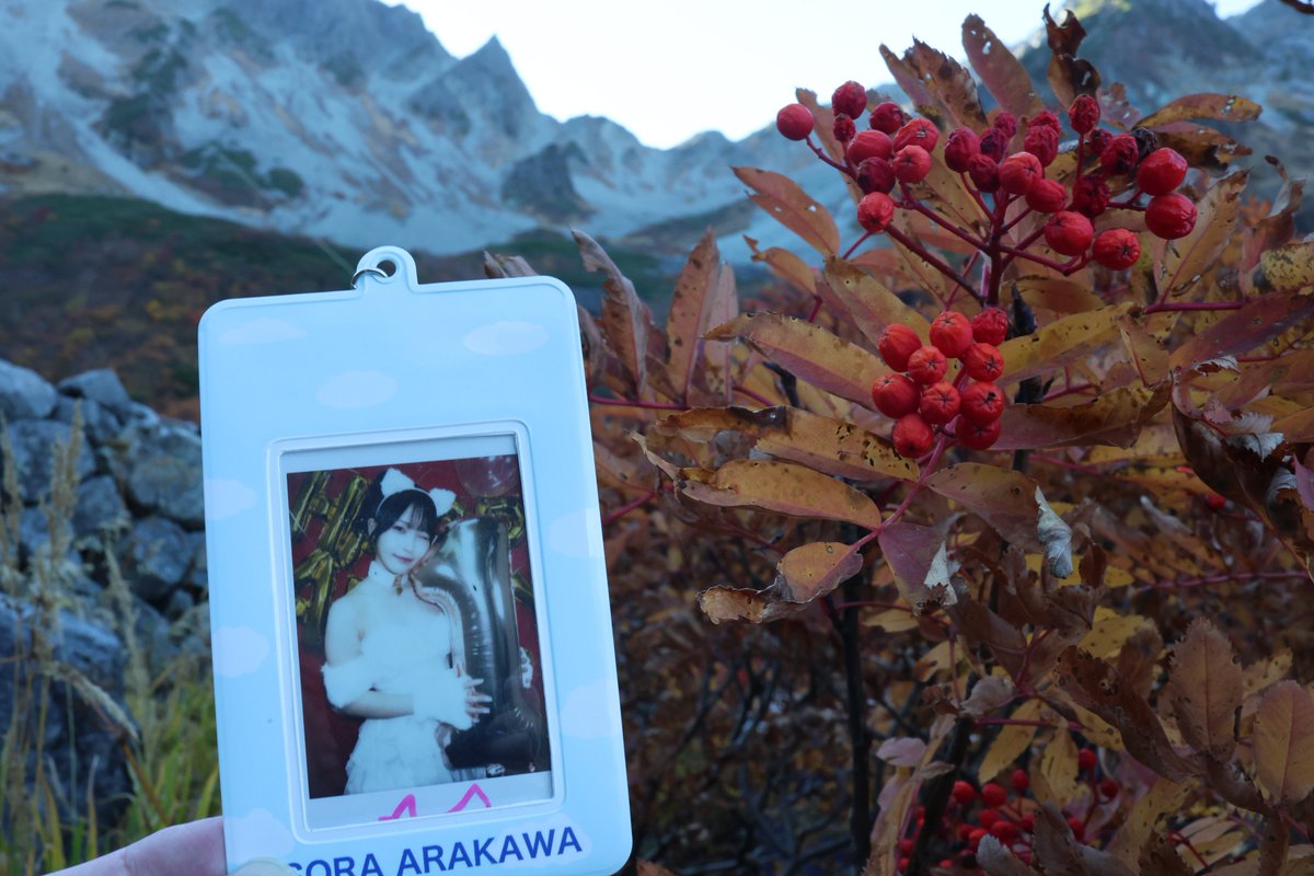 oiwa1300's tweet photo. そらちゃんに見せたいと思っていた紅葉スポットに行ってきました🍁
電波が繋がらない場所にいたせいでそらちゃんが体調崩してることを遅れて知ってすごく心配だけど、SNSとかもお休みしてでも早く元気になってほしい
もしこれが目に触れるようなら少しでも元気づけられたらいいな🥹 https://t.co/rd2p7Xhzn7
