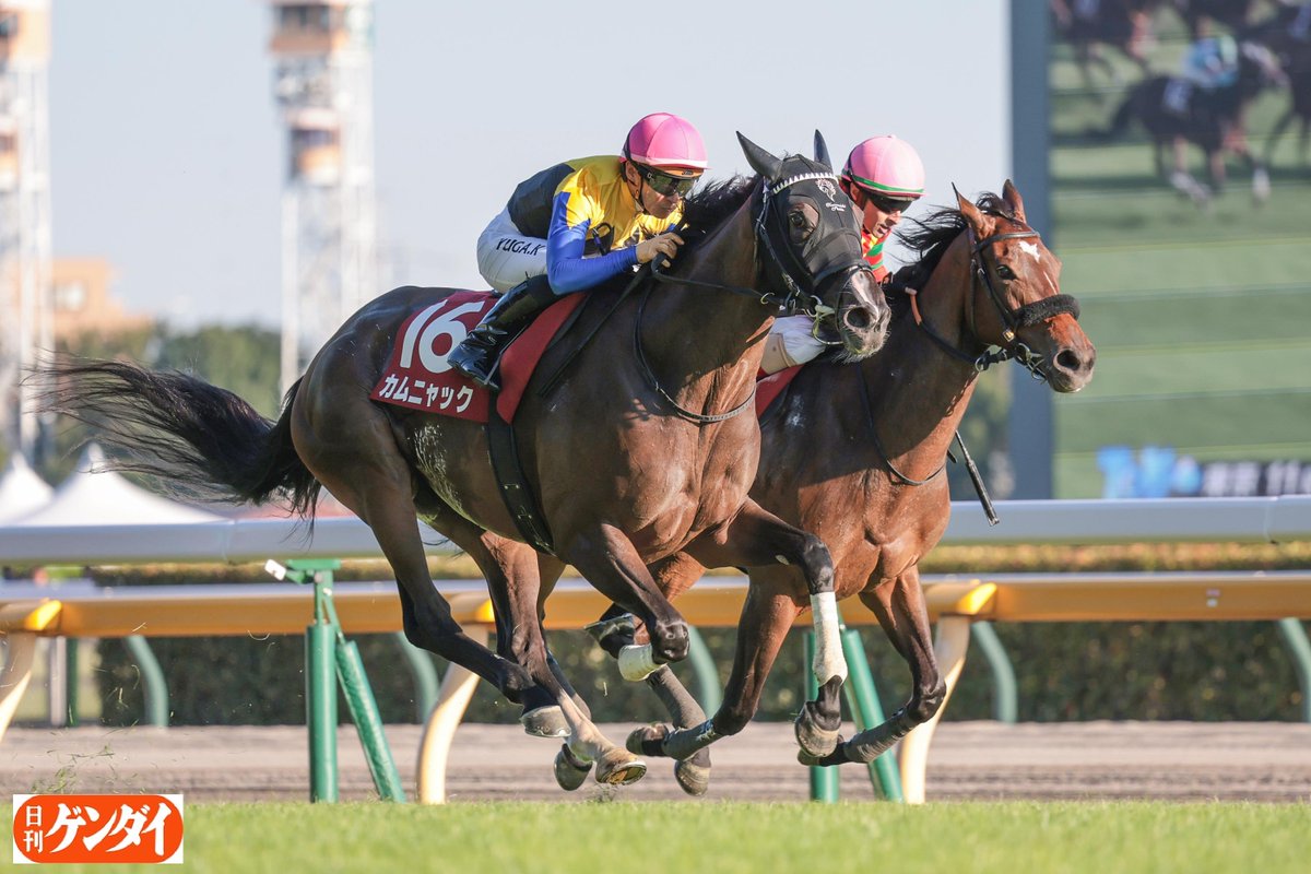 gendai_keiba's tweet photo. 本日の東京競馬場、入場人員は５万３１００名。
前年比１４０・０％と盛況。直線は大きな歓声があがりました。
#東京競馬場 #アイルランドＴ https://t.co/uXbKmjY4E5