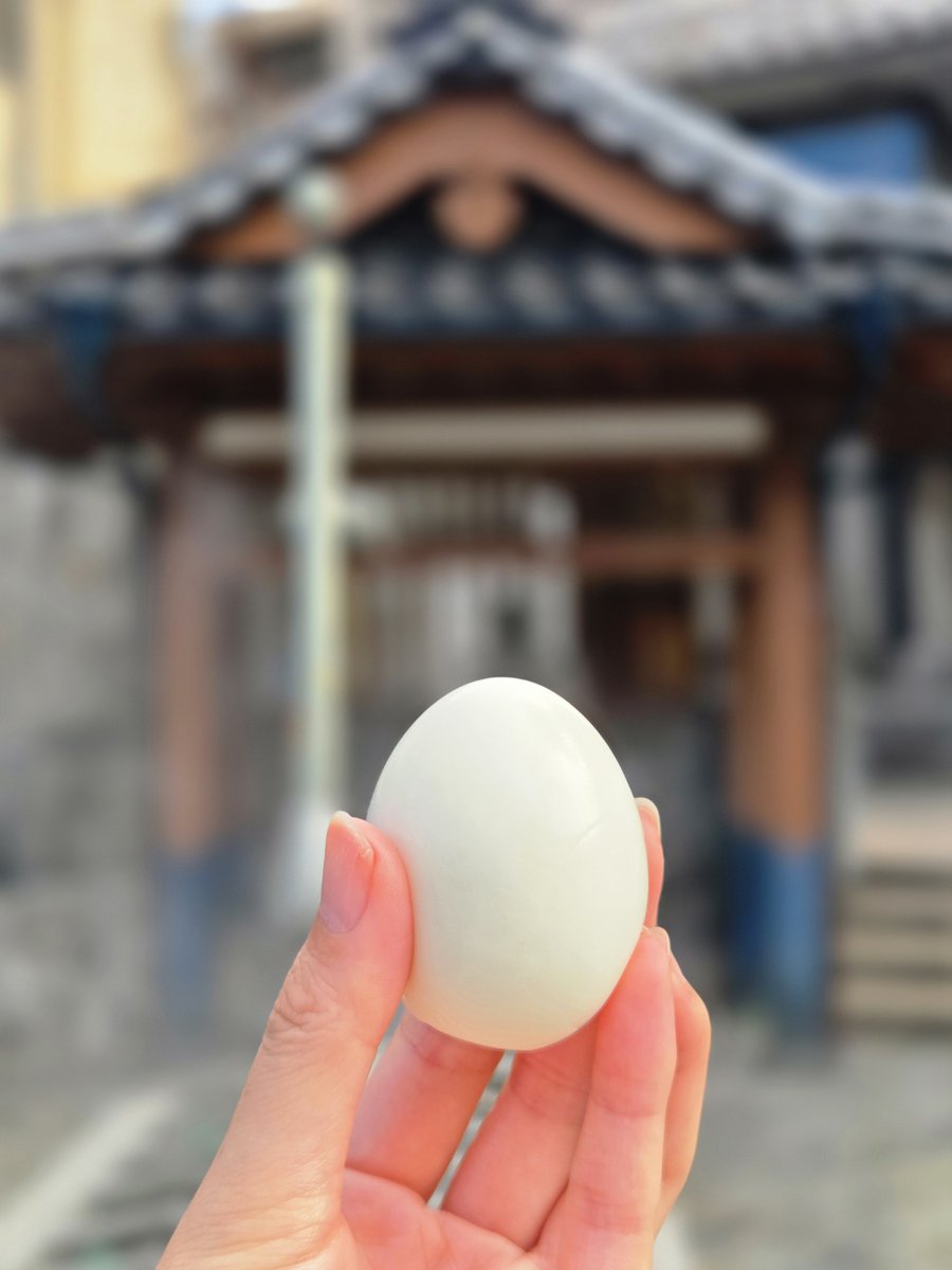 life____free__'s tweet photo. 本日のハイライト:完璧なゆでたまご(湯村温泉産)、青い海、赤い夕日 https://t.co/SonUIk8DnL