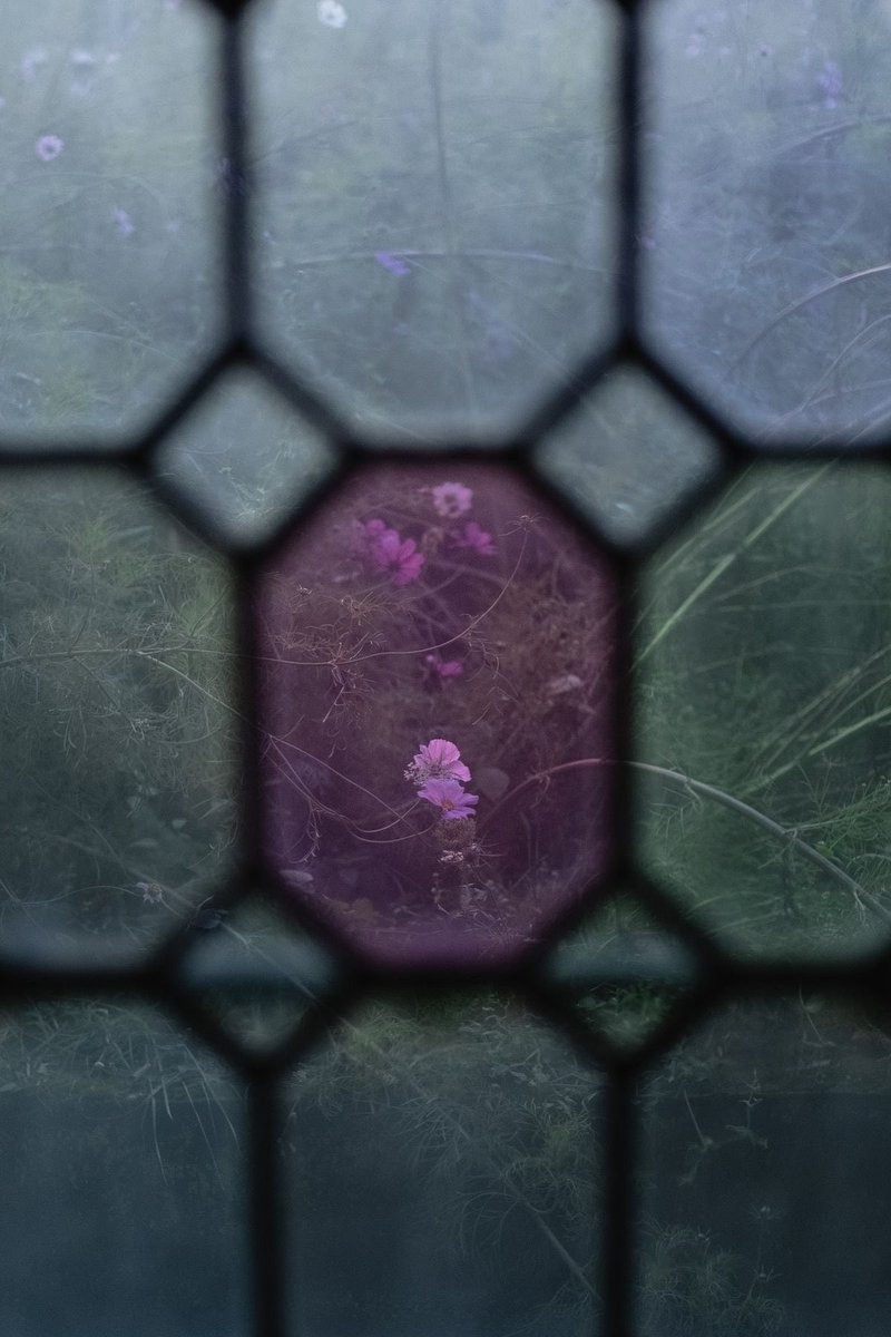 lemurianlullaby's tweet photo. scrying into rafayel’s stained glass gaze https://t.co/5tNt7qjD7P
