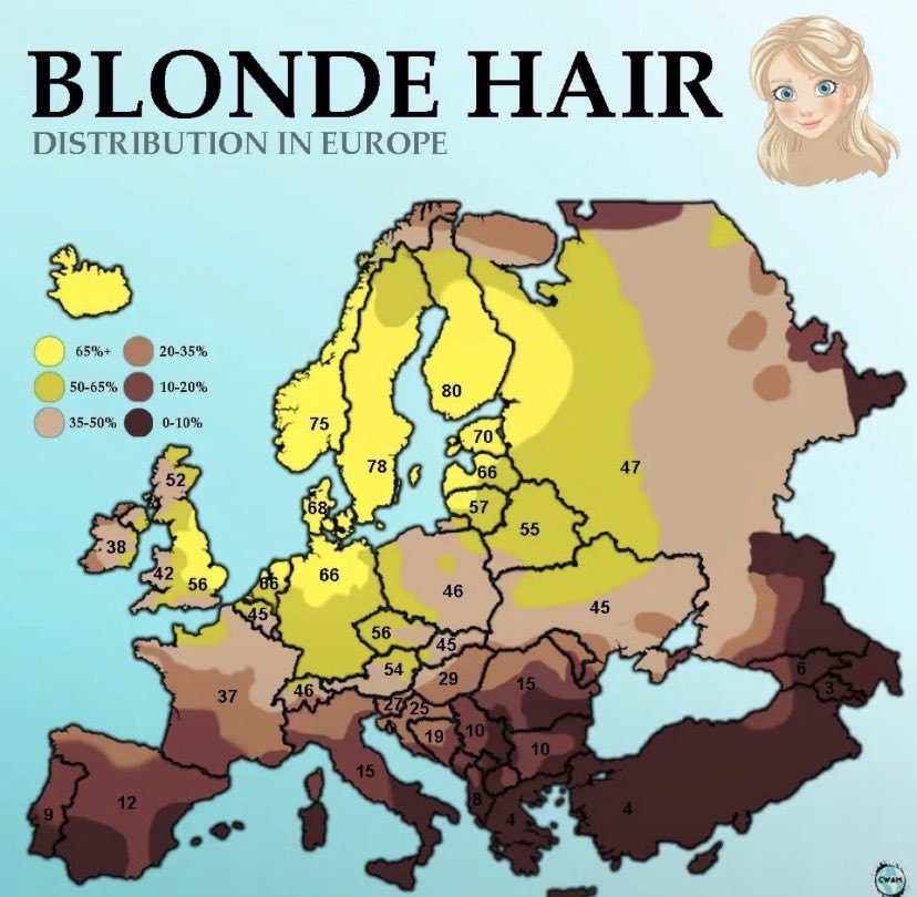 Serra37167's tweet photo. @based_azorean The proportion of blond people is low in Mediterranean countries❤️ https://t.co/g52Y2h4Ibz