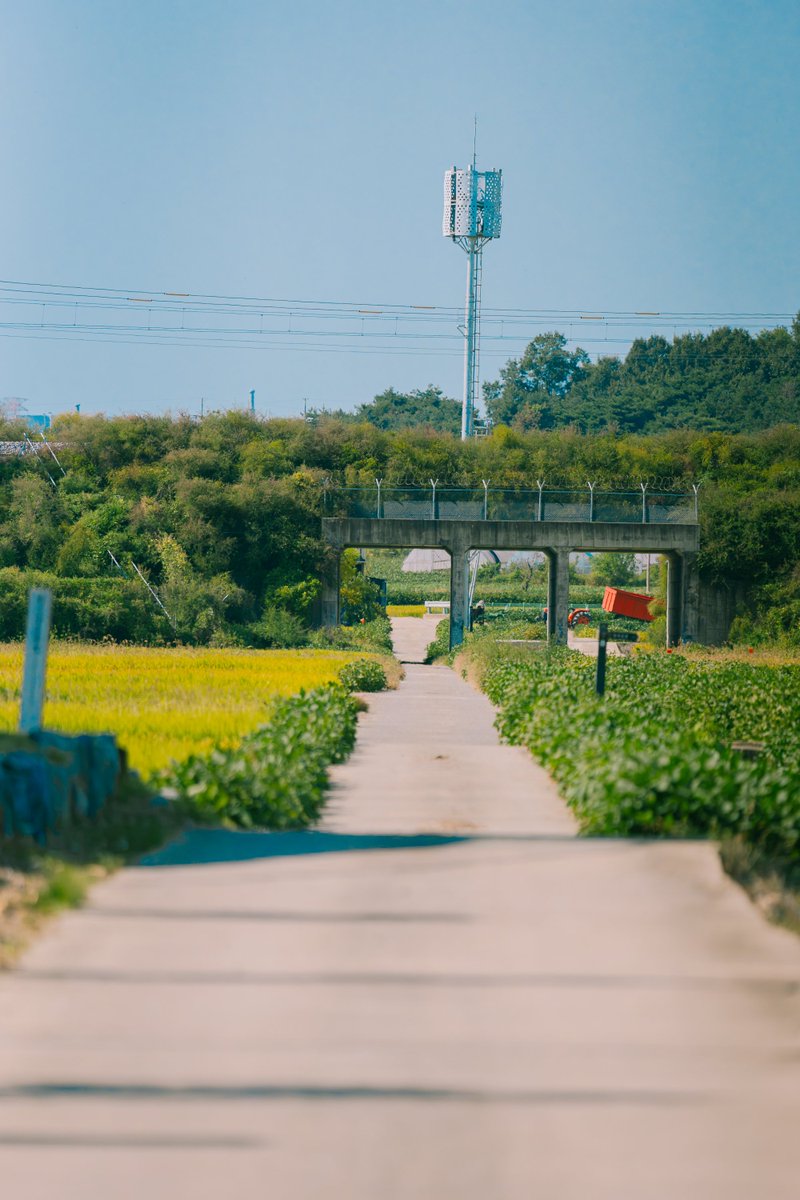 younphoto's tweet photo. 오랜만에 찍어보는 풍경과 조류사진
가끔씩 돌아보는시간도 필요한거 같아서 한2주전 사진 올려봅니다~ 
#샵교호 #신리성지
#새사진 #조류사진 #풍경
#landscape #A7R6 #100400mc https://t.co/KRW8uLwagi