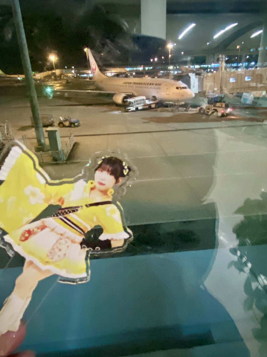 wnabe3gon's tweet photo. 帰りはこれ✈️
 #びゅーんとあかりん https://t.co/Ed1YNizxYz