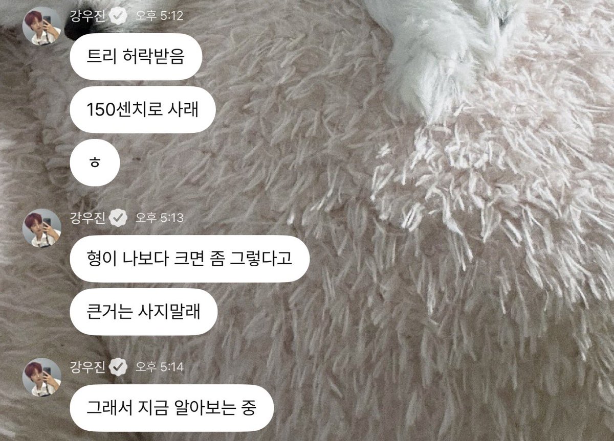 2wloosz's tweet photo. 아 진짜ㅋㅋㅋㅋㅋㅋ 활짝웃음…. https://t.co/w6dUA7tmwC