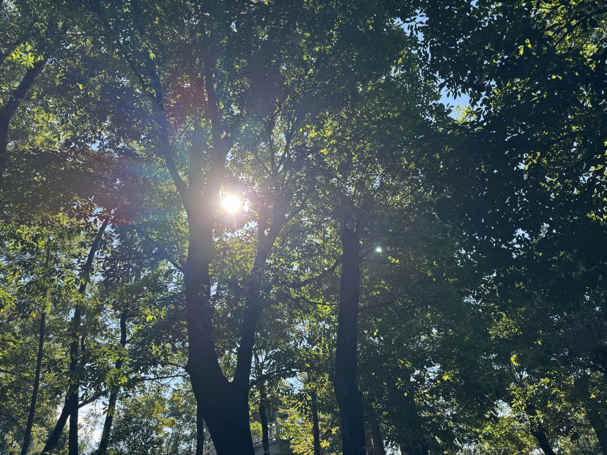 ThaddeusPoppetL's tweet photo. 1️⃣今週の木洩れ日☀️🌳✨️
2️⃣秋の寺部池🍁ꉂ(و˙Δ˙و)ｲｹｰｰｰｰ!
3️⃣のどかな田園風景🖼 https://t.co/JZpVlVIa5i