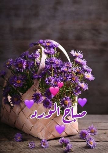 SAlhamri's tweet photo. @md465609 https://t.co/lhfxlW2VDO
