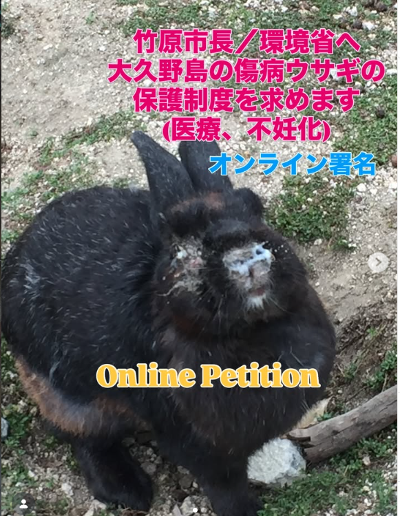 bunnyintokyo's tweet photo. The rabbits of Okunoshima are neither wild nor native to the island. Some receive no rescue when injured or ill. Please sign and share the petition to help protect them. #bunny 
#Okunoshima #RabbitIsland @robersonjunko14 @jongjonnu 　　
https://t.co/MM7FfCm2zL via
@Change https://t.co/fxmGtTvLq1