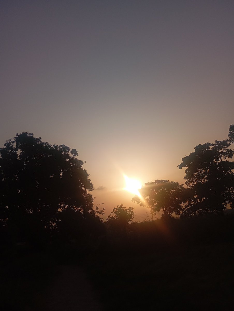 DanchiOhachor's tweet photo. It's been over 223 hours since we had light in locations just outside my school where most students live

This really isn't life https://t.co/nUnpmqTaa5