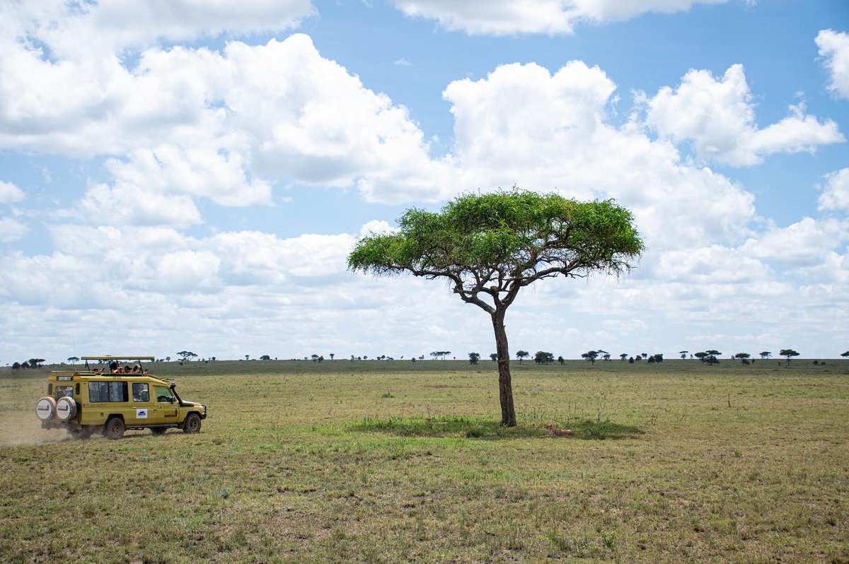 Sussanie's tweet photo. Experience Africa’s wild beauty on an unforgettable safari adventure. https://t.co/8JjEYEq7kK