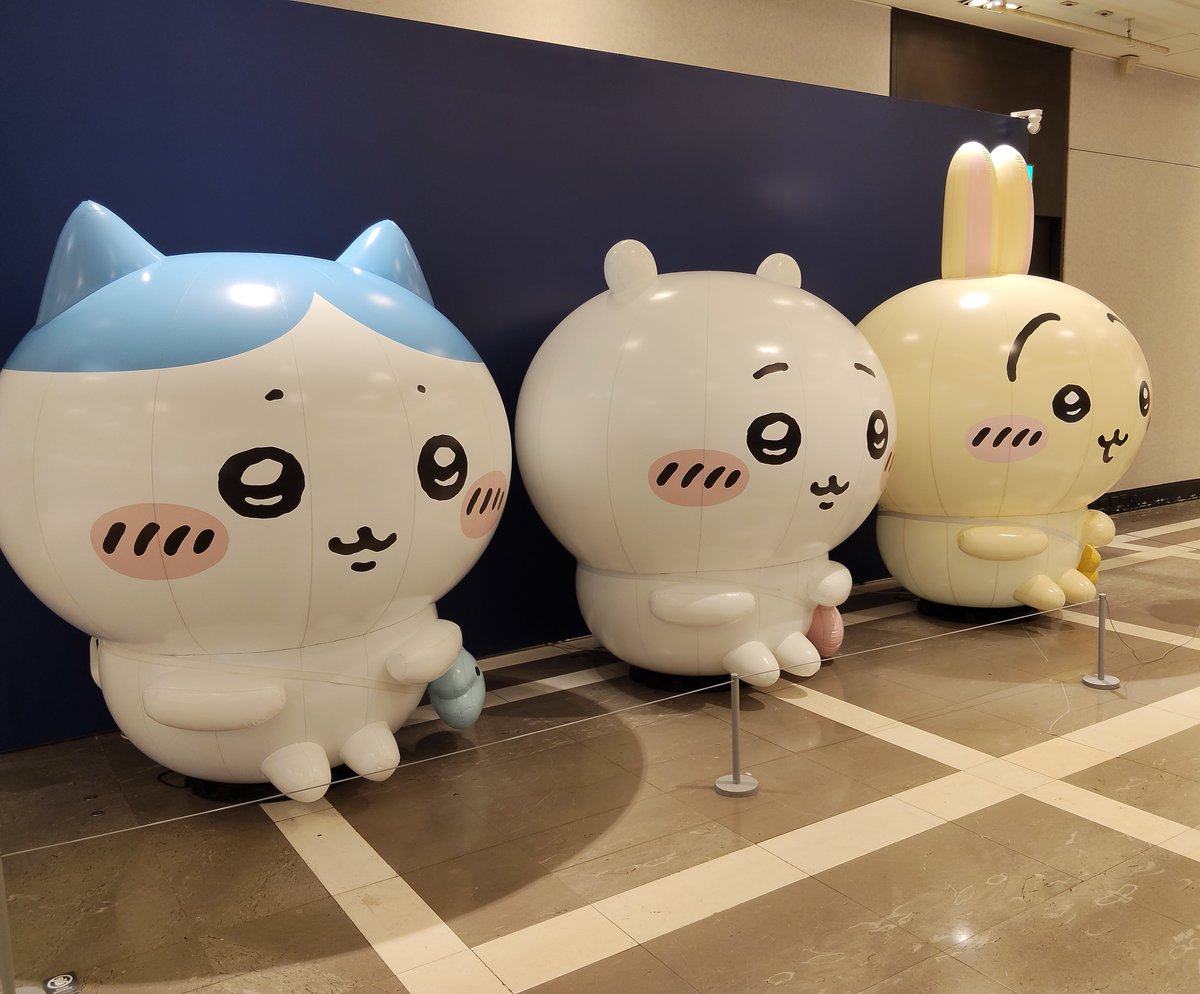 tasshypokego's tweet photo. ポケセン向かいのビルの9階でちいかわポップやってるけど、ここでも台湾限定ロップイヤー買える！🐰 https://t.co/lhatchb92d