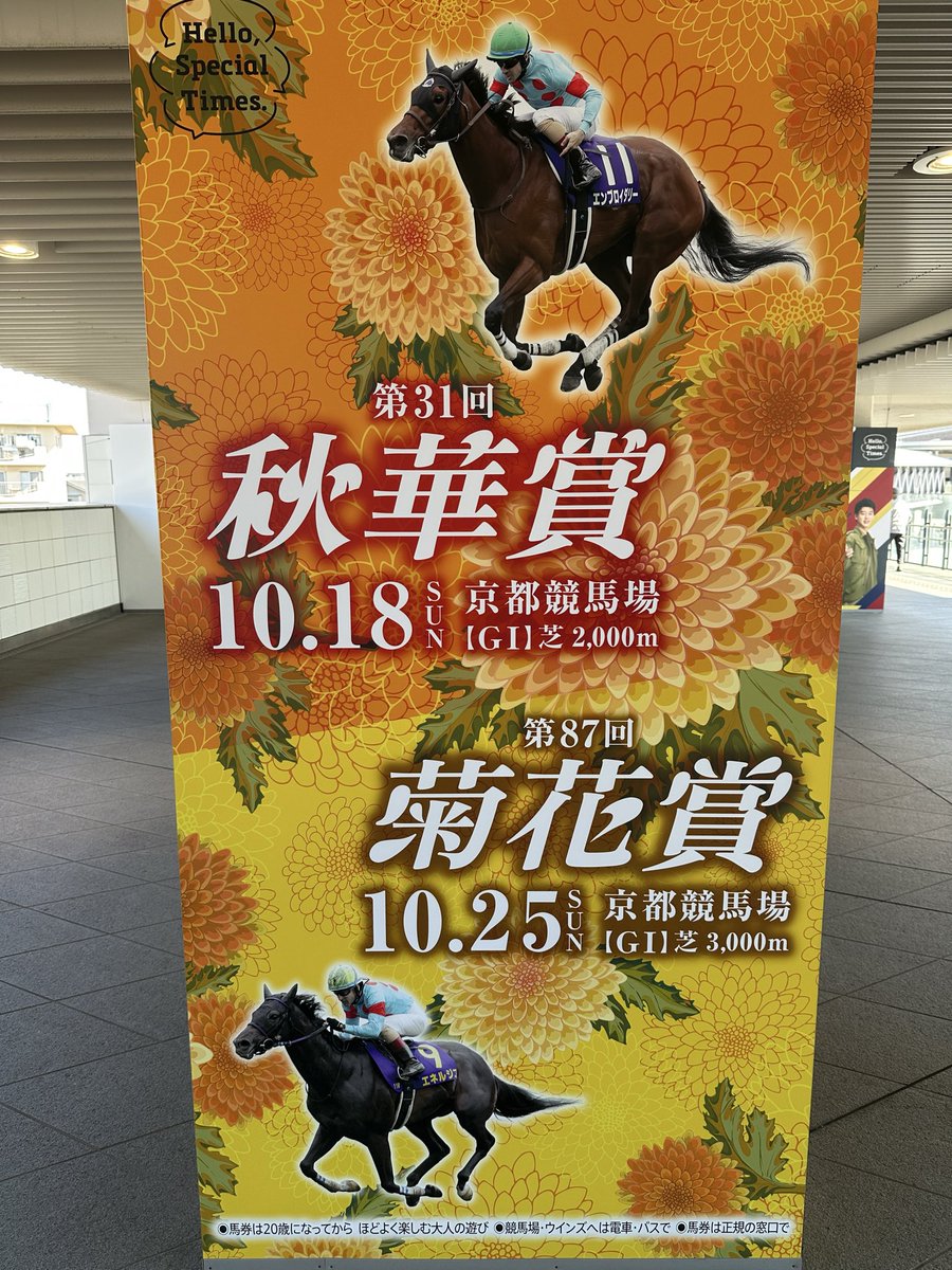 salamander_2020's tweet photo. 京都競馬場でメイショウタバルのアイドルホース(ぬいぐるみ)再販されてた！凱旋門賞お疲れ様ってことでお買上げ🐴

#アイドルホース
#メイショウタバル
#京都競馬場 https://t.co/oA1hcctyjA