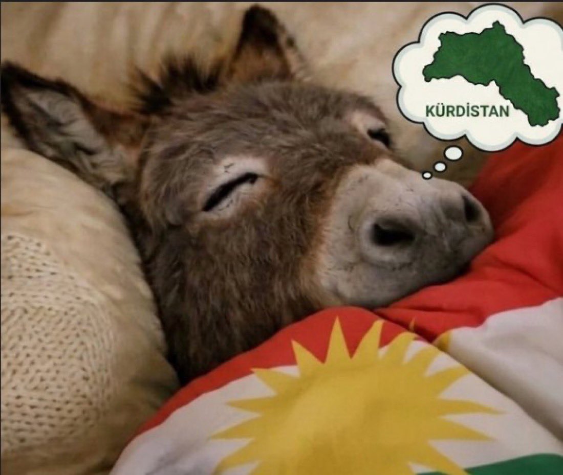 Ashurnipal1997's tweet photo. @TurkWolf888 This is 4k photo of Kurd https://t.co/Bifx2Dc9ij