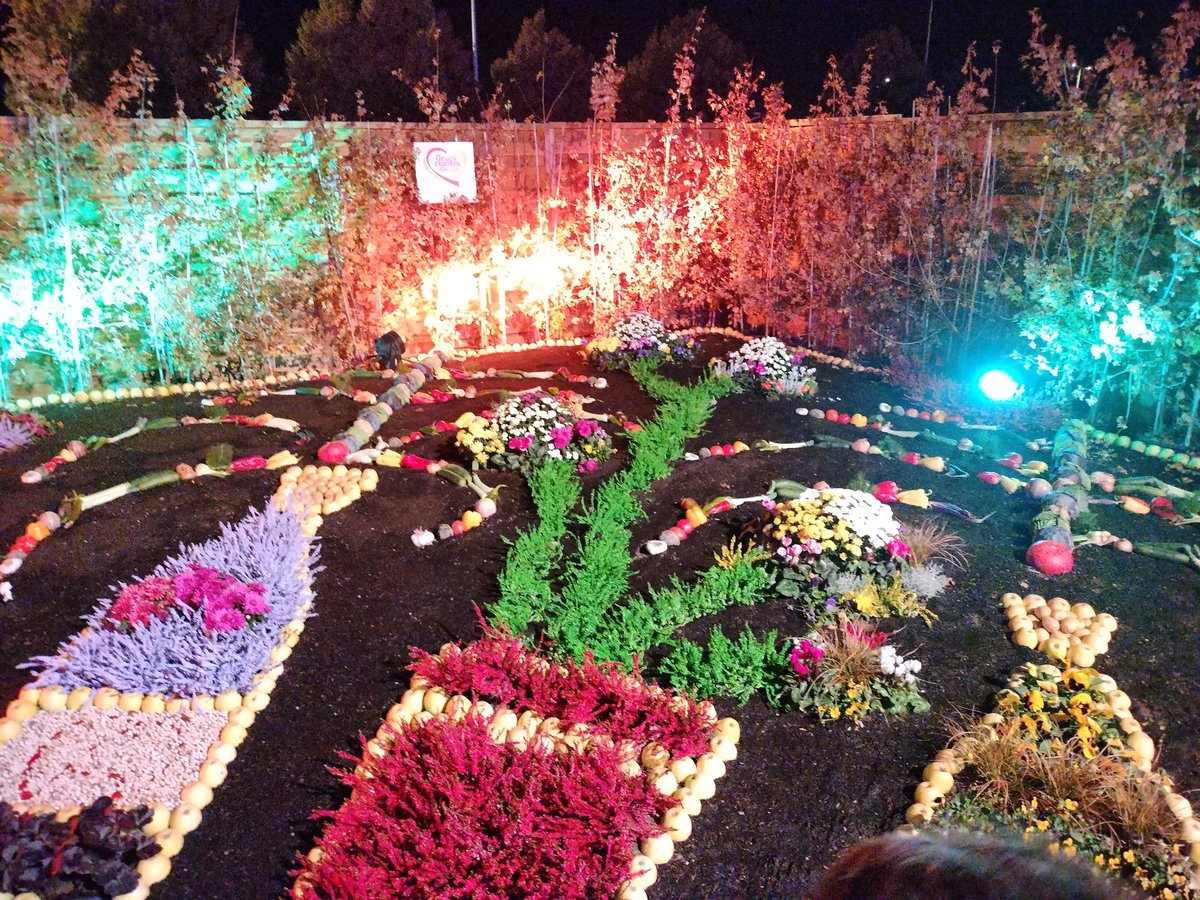 ULMulhouse's tweet photo. #FolieFlore 2026 #Mulhouse : bravo aux équipes de la Ville et aux jardiniers des villes participantes pour leur talent, leur créativité et leur engagement.
Valoriser nos savoir-faire, soutenir ceux qui font vivre nos communes et faire rayonner L'#Alsace : des priorités pour UL ! https://t.co/UFjpckdox0