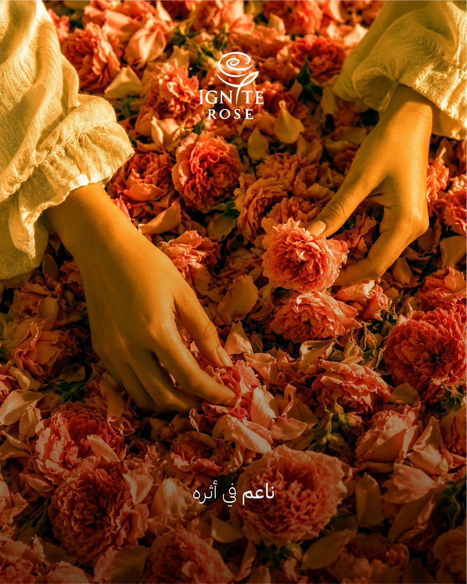 AhmedPerfumesa's tweet photo. The unexpected allure of a rose. https://t.co/OzzTgtjAQ7