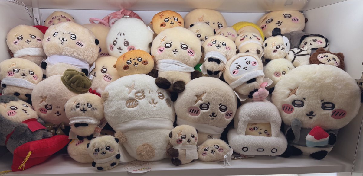 kawai_cherryb's tweet photo. 큰용맹함 가운데 작은용맹함 https://t.co/OYz4Zkze7j