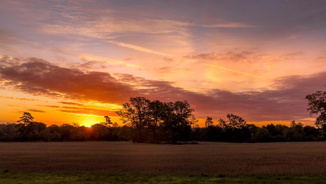 No1GhostDog's tweet photo. Good Morning - a few images from today’s early walk #Knowle https://t.co/4nSL12cft1