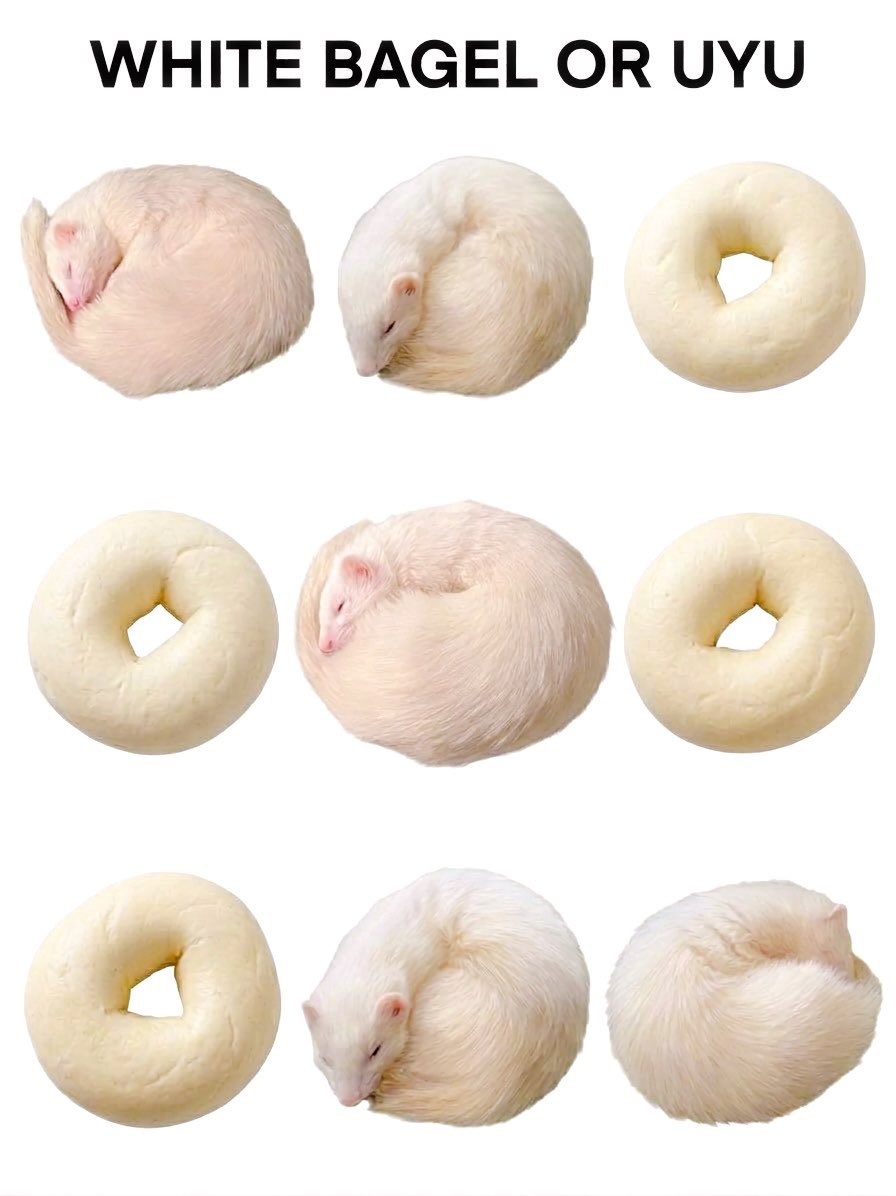 uyu0527's tweet photo. 🥯orウユちゃん https://t.co/f3esIDZ7eg
