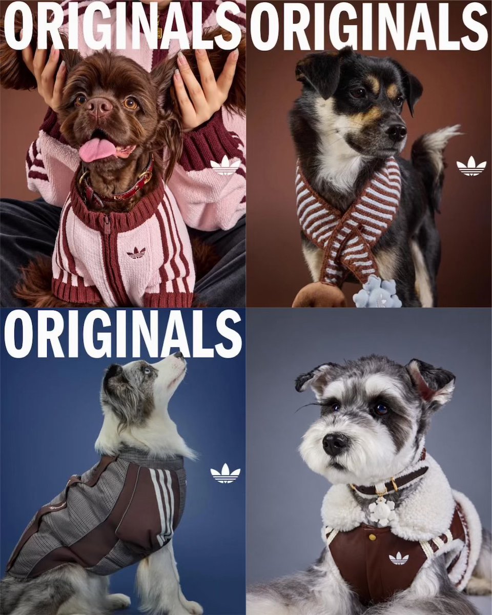 uptod4te's tweet photo. adidas Originals 2026年冬ペットコレクションの新作が登場 【 アディダス 2026 Winter 新作 ペットアパレル 】
https://t.co/cjG3IwgUok https://t.co/clwcI8pIwb