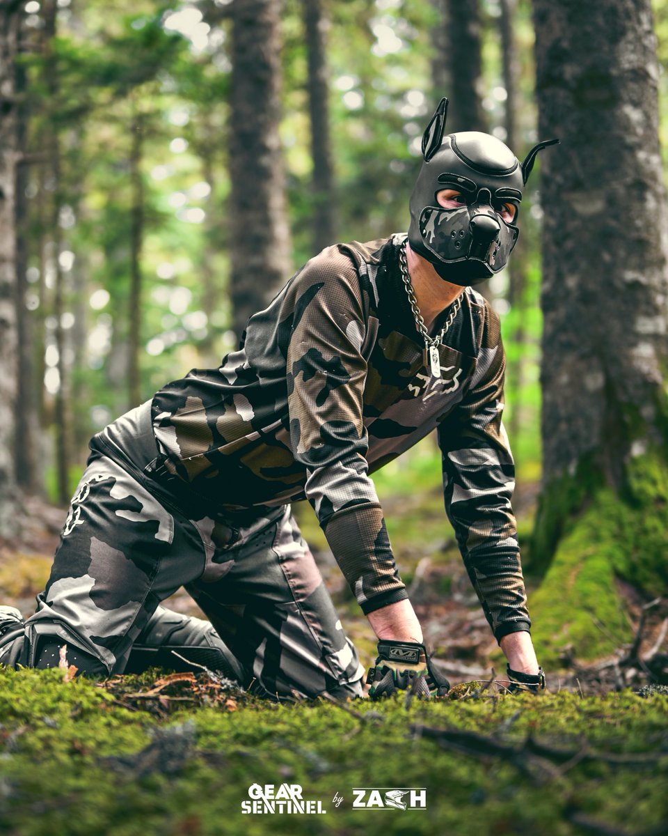 sektor_gear's tweet photo. Camouflaged puppy

📸 : Zach https://t.co/YPBtH1st5o