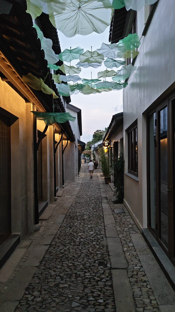 Re_Everfades's tweet photo. 外出出差顺便旅游，被震惊到了

每一个去苏州的人，都应该去甪直！

未商业化的江南古镇，这才是真正的小桥流水人家！

还能遇到美术生在这里取景写生，这种轻松的氛围实在治愈人心🤤 https://t.co/q4uIh2iCGJ