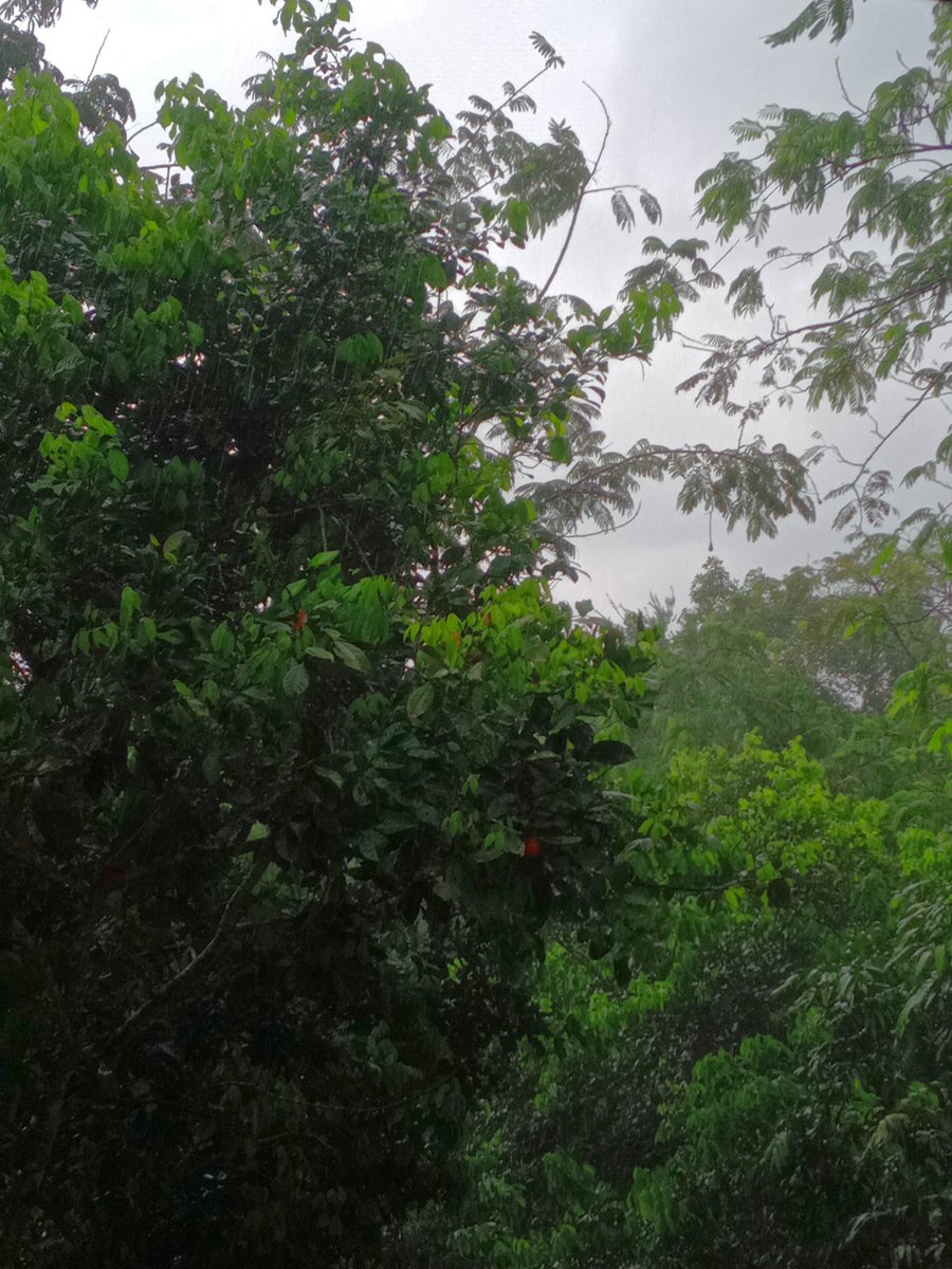 hd012455591's tweet photo. ตกสักทีอย่างร้อนเลย https://t.co/lQba4nvok4