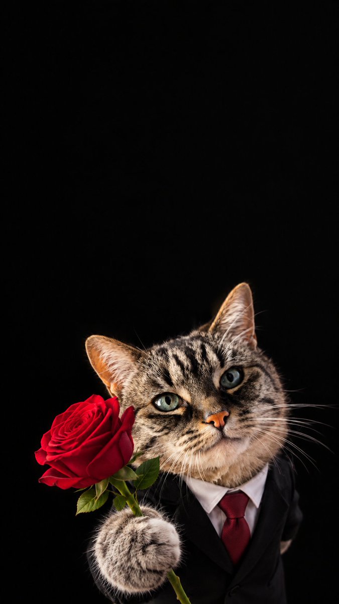 frameow_com's tweet photo. @snekblaster I made a phone wallpaper for you! Hope you both love it 🐾 https://t.co/Wj5vW6gLKL